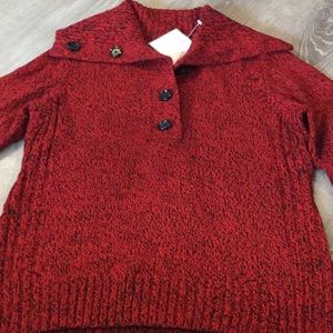♥️ NWT~~Pullover Sweater with Collar ❤️